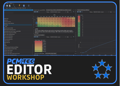 Picture of PCMTec Editor - Workshop Edition - Australian Ford